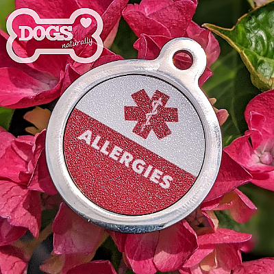 Allergies Medical Dog ID Tag